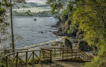 Картинка природа побережье деревья море мостик