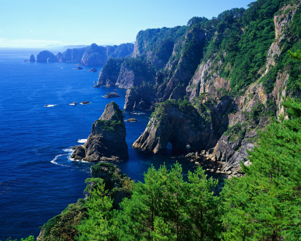 Обои картинки фото природа, побережье, деревья, море, берег, острова, скалы