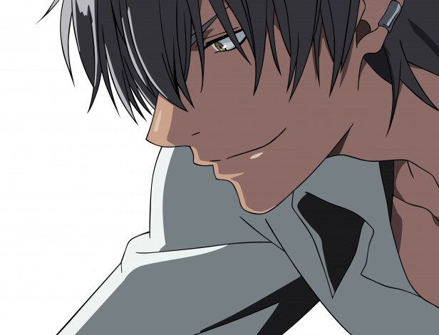 Обои картинки фото аниме, arcana famiglia, парень, вектор, арт