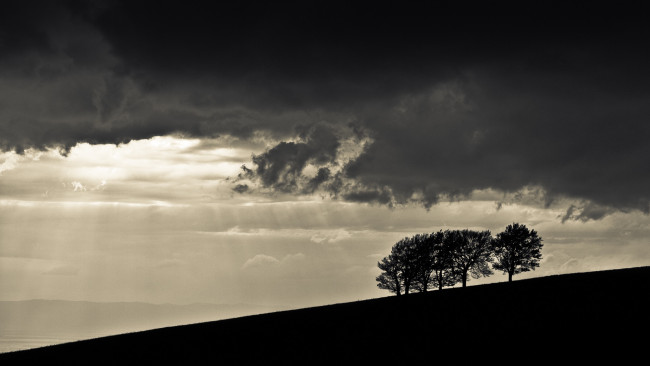 Обои картинки фото природа, восходы, закаты, вечер, дерево, тучи