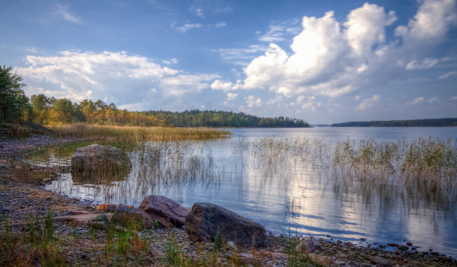 Обои картинки фото природа, реки, озера, лес, река