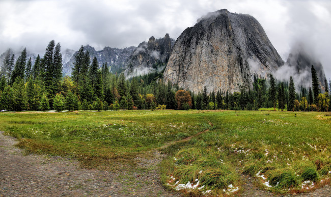 Обои картинки фото природа, горы, гора, лес