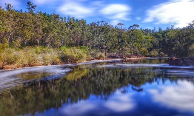 Обои картинки фото природа, реки, озера, лес, река