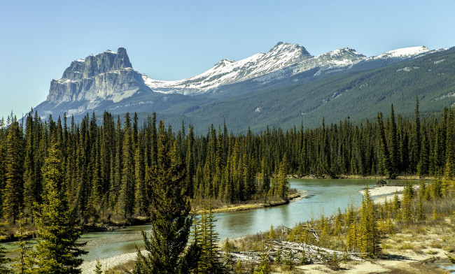 Обои картинки фото природа, реки, озера, река, лес