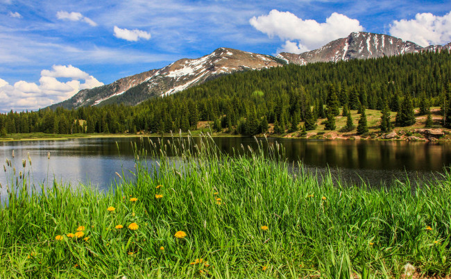 Обои картинки фото природа, реки, озера, река, лес