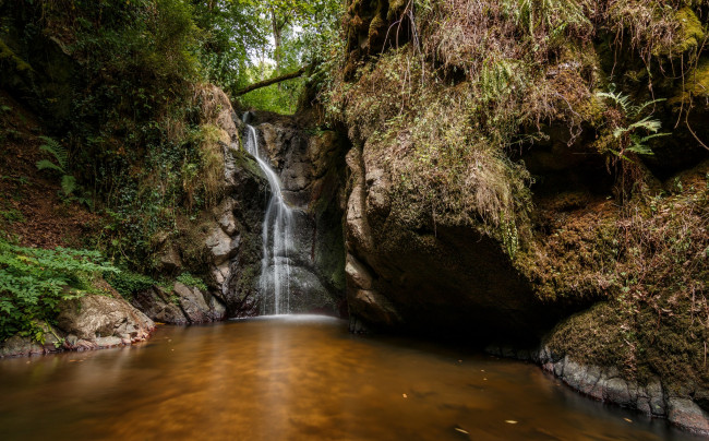 Обои картинки фото природа, водопады, лес, река, водопад