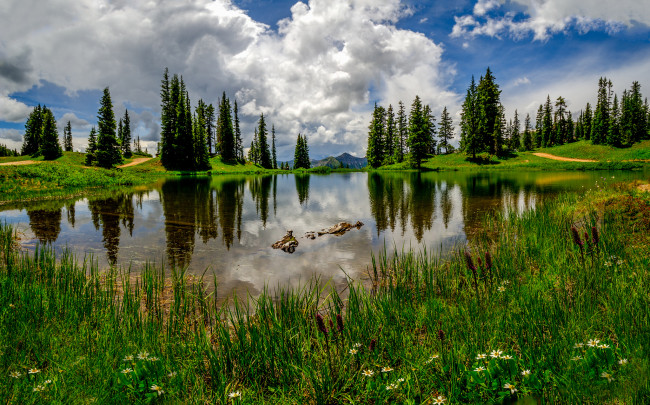 Обои картинки фото природа, реки, озера, лес, озеро