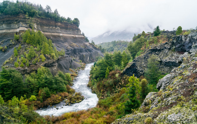 Обои картинки фото природа, реки, озера, лес, река