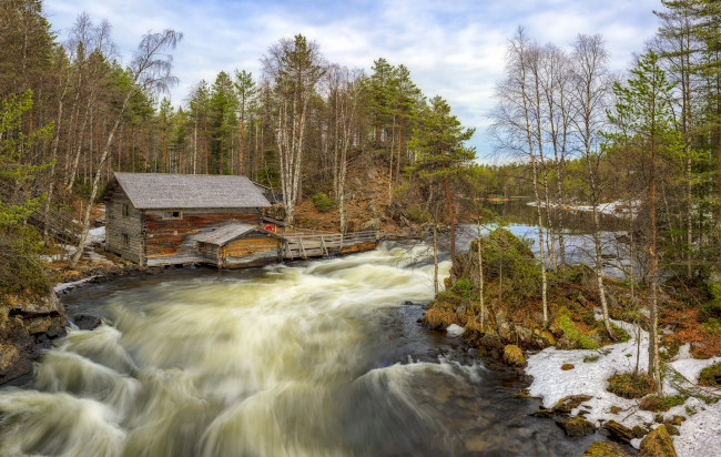 Обои картинки фото природа, реки, озера, лес, река