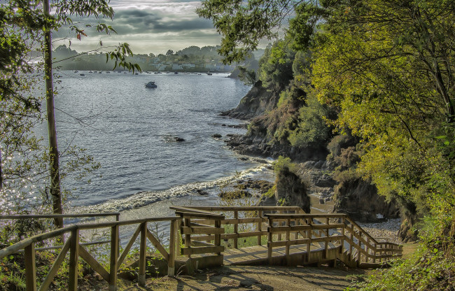 Обои картинки фото природа, побережье, деревья, море, мостик