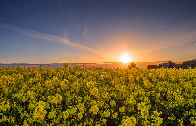 Обои картинки фото природа, восходы, закаты, рассвет