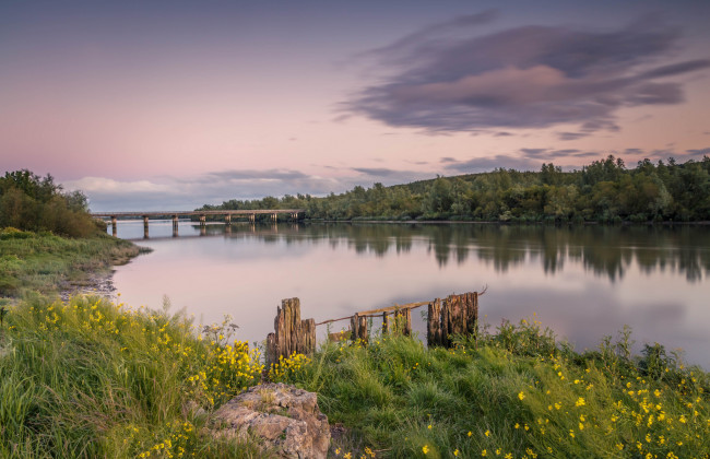 Обои картинки фото природа, реки, озера, лес, река