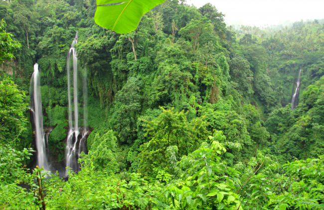 Обои картинки фото природа, водопады, лес, река, водопад