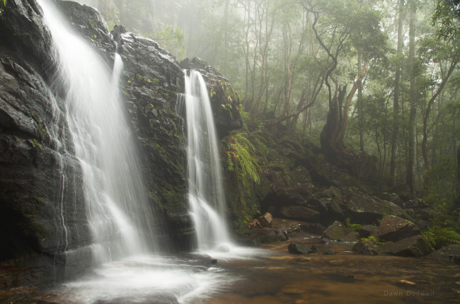 Обои картинки фото природа, водопады, водопад, лес