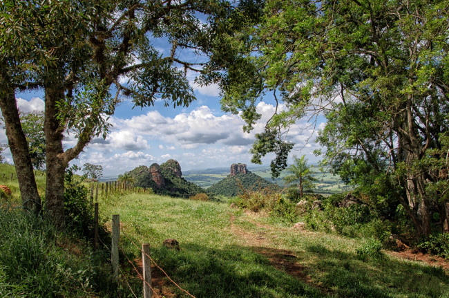 Обои картинки фото природа, пейзажи, холмы, тропа, лес