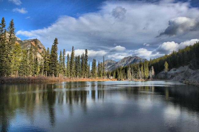 Обои картинки фото природа, реки, озера, река, лес