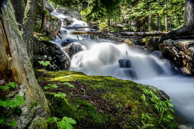 Обои картинки фото природа, водопады, лес, река, водопад