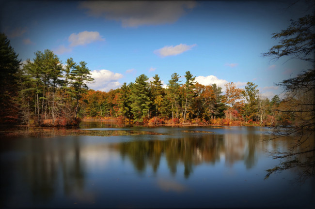 Обои картинки фото природа, реки, озера, лес, река