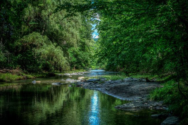 Обои картинки фото природа, реки, озера, река, лес