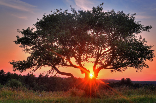 Обои картинки фото природа, восходы, закаты, рассвет