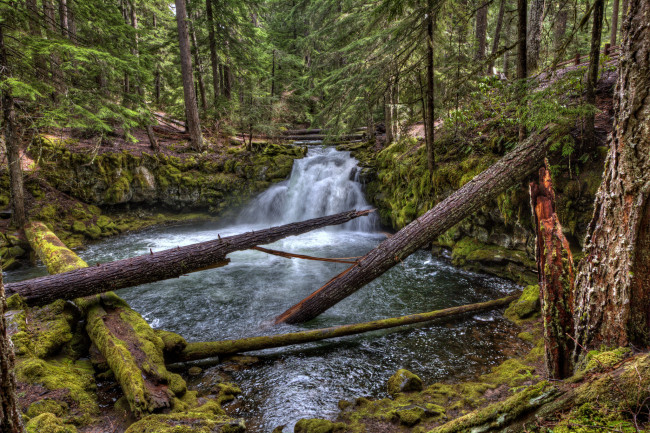 Обои картинки фото природа, водопады, лес, река, водопад