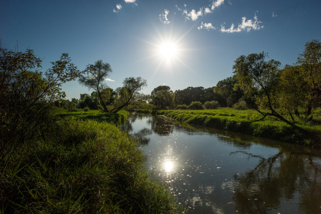 Обои картинки фото природа, восходы, закаты, река, лес