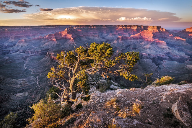 Обои картинки фото природа, горы, дерево