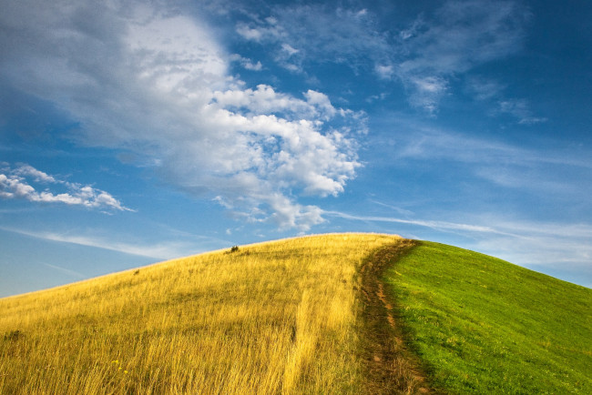 Обои картинки фото природа, луга, холм