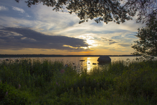 Обои картинки фото природа, реки, озера, лес, река