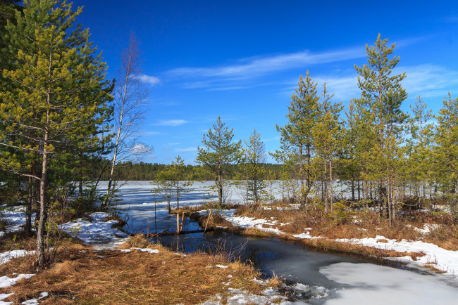 Обои картинки фото природа, реки, озера, лес, река