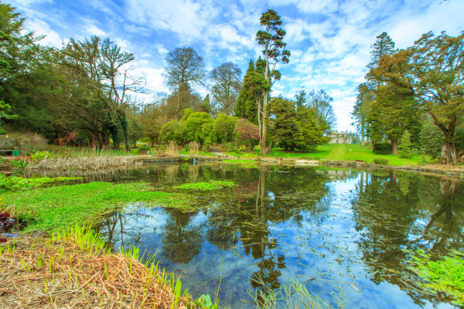 Обои картинки фото природа, реки, озера, река, лес