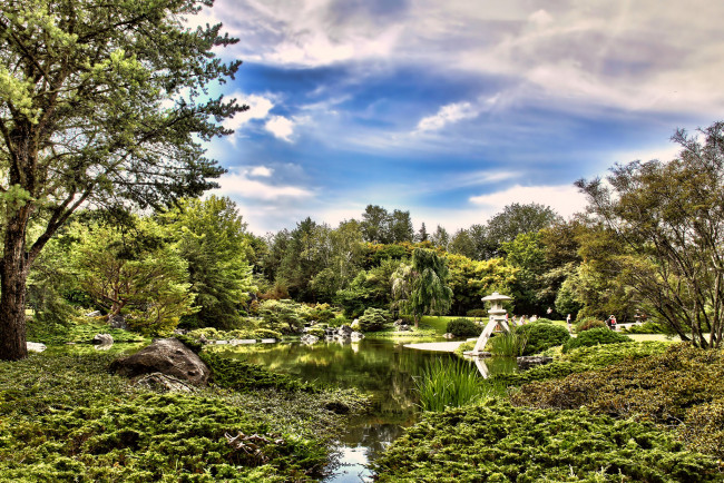 Обои картинки фото природа, реки, озера, река, лес