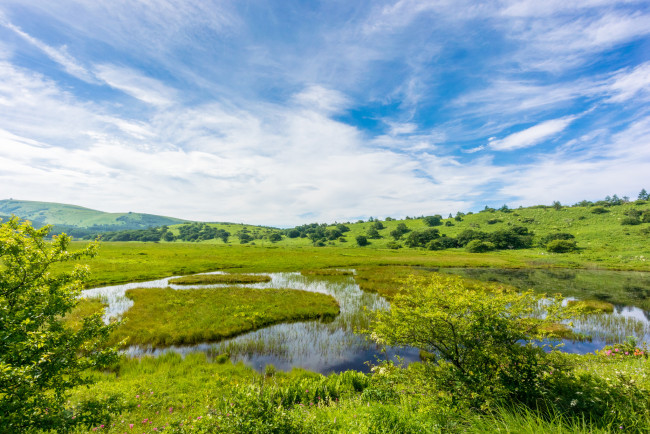 Обои картинки фото природа, реки, озера, трава, озеро