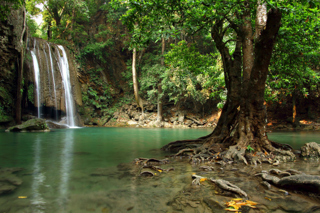 Обои картинки фото природа, водопады, лес, река, водопад