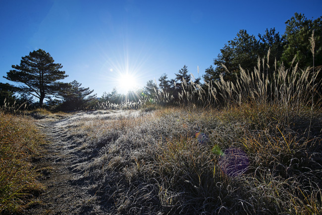 Обои картинки фото природа, восходы, закаты, рассвет