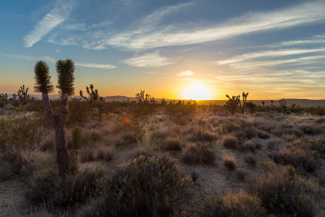 Обои картинки фото природа, восходы, закаты, рассвет