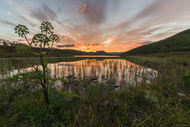 Обои картинки фото природа, восходы, закаты, сумерки