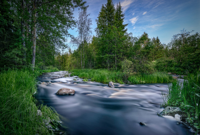 Обои картинки фото природа, реки, озера, река, лес