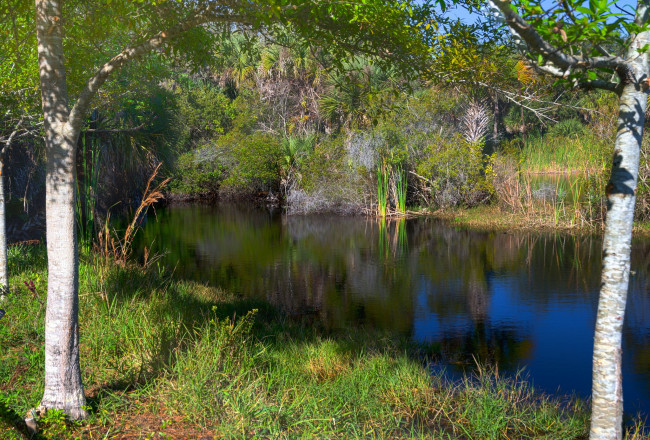 Обои картинки фото природа, реки, озера, лес, река