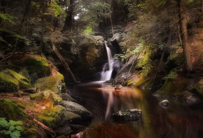 Обои картинки фото природа, водопады, лес, река, водопад