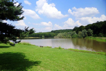 Картинка природа реки озера луг деревья покой река скамейка