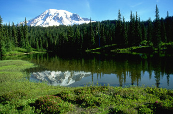 Картинка природа реки озера озеро деревья лес гора