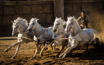 Картинка кино+фильмы ben-hur