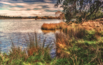 Картинка природа реки озера лес река