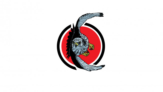 Обои картинки фото рисованное, минимализм, полёт, клюв, крылья, орел