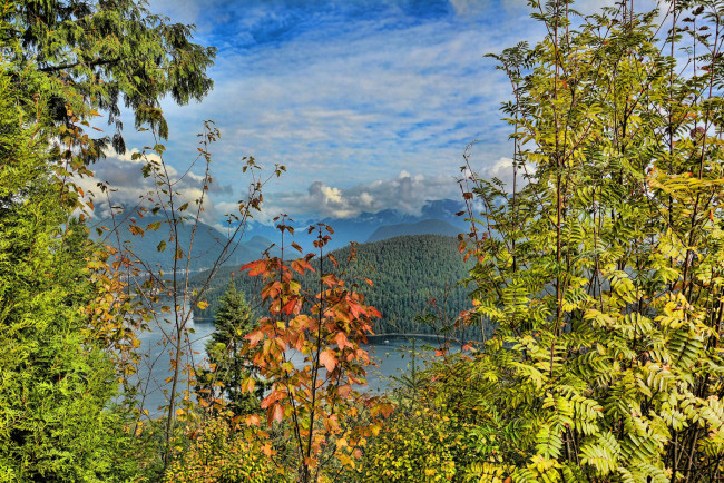 Обои картинки фото природа, пейзажи, лес, река