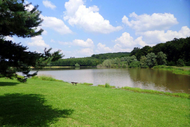 Обои картинки фото природа, реки, озера, луг, деревья, покой, река, скамейка