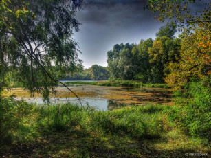 Картинка природа реки озера простор