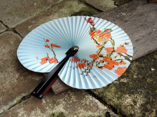 Картинка разное украшения +аксессуары +веера веер