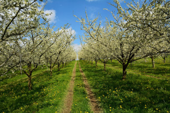 Картинка природа дороги простор